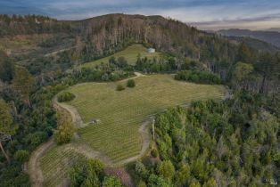 Agriculture,  Mount Veeder Road road, Napa, CA 94558 - 8
