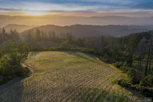 Agriculture,  Mount Veeder Road road, Napa, CA 94558 - 7