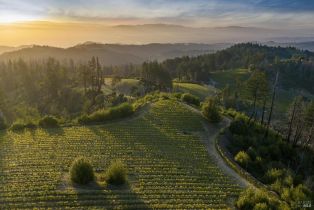 Land, 3801 Mount Veeder Road Rd, Napa, CA  Napa, CA 94558