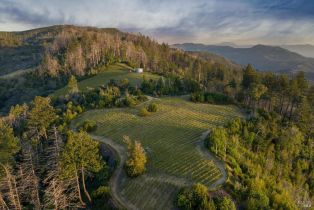 Agriculture,  Mount Veeder Road road, Napa, CA 94558 - 2
