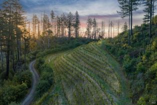 Agriculture,  Mount Veeder Road road, Napa, CA 94558 - 19