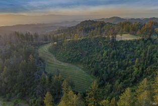 Agriculture,  Mount Veeder Road road, Napa, CA 94558 - 11
