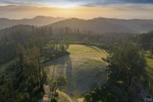 Agriculture,  Mount Veeder Road road, Napa, CA 94558 - 6