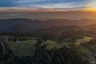 Agriculture,  Mount Veeder Road road, Napa, CA 94558 - 14