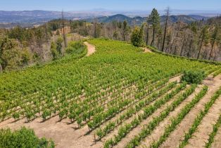 Agriculture,  Mount Veeder Road road, Napa, CA 94558 - 21