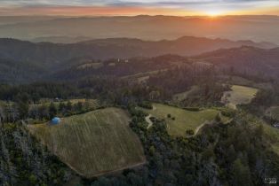 Agriculture,  Mount Veeder Road road, Napa, CA 94558 - 17