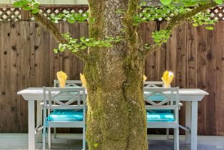 Single Family Residence,  Melody avenue, Russian River, CA 95446 - 47