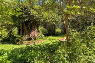 Single Family Residence,  Melody avenue, Russian River, CA 95446 - 45