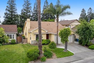 Single Family Residence,  Summer Rain drive, Windsor, CA 95492 - 5