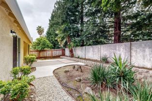 Single Family Residence,  Summer Rain drive, Windsor, CA 95492 - 48