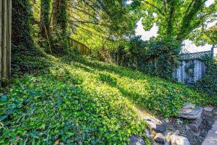 Single Family Residence, Coleman Valley road, Occidental, CA 95465 - 57