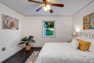 Single Family Residence, Coleman Valley road, Occidental, CA 95465 - 21