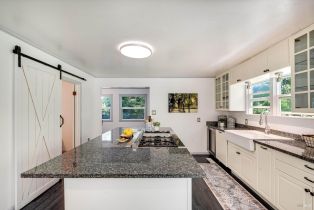 Single Family Residence, Coleman Valley road, Occidental, CA 95465 - 14