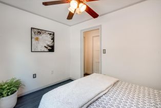 Single Family Residence, Coleman Valley road, Occidental, CA 95465 - 26