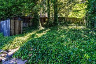 Single Family Residence, Coleman Valley road, Occidental, CA 95465 - 55