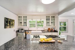 Single Family Residence, Coleman Valley road, Occidental, CA 95465 - 15