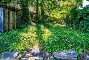 Single Family Residence, Coleman Valley road, Occidental, CA 95465 - 56