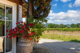 Single Family Residence,  Dry Creek road, Healdsburg, CA 95448 - 32