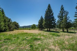 Single Family Residence,  Dry Creek road, Healdsburg, CA 95448 - 63