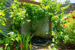Single Family Residence,  Dry Creek road, Healdsburg, CA 95448 - 33