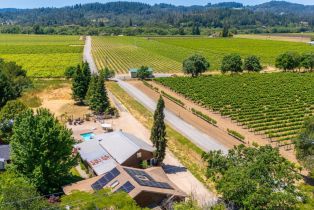 Single Family Residence,  Dry Creek road, Healdsburg, CA 95448 - 36