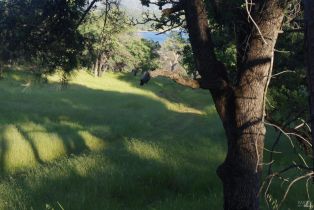 Residential Acreage,  Knoxville road, Napa, CA 94558 - 10