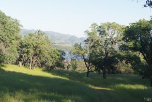 Residential Acreage,  Knoxville road, Napa, CA 94558 - 9