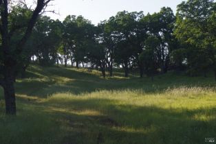 Land, Knoxville Rd, Napa, CA  Napa, CA 94558