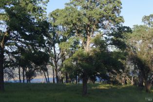 Residential Acreage,  Knoxville road, Napa, CA 94558 - 11