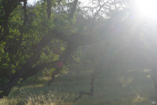 Residential Acreage,  Knoxville road, Napa, CA 94558 - 2