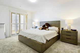 Condominium,  F street, Petaluma, CA 94952 - 6