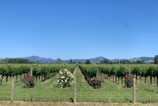 Agriculture,  Irwin lane, Santa Rosa, CA 95401 - 15