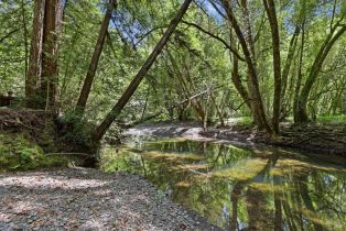 Single Family Residence,  Bohemian highway, Russian River, CA 94114 - 29