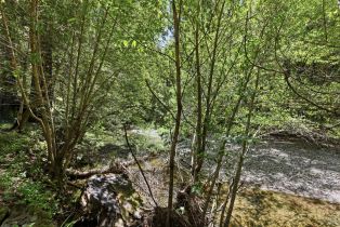 Single Family Residence,  Bohemian highway, Russian River, CA 94114 - 26