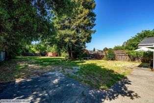 Single Family Residence, Lincoln avenue, Napa, CA 94558 - 44