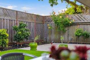 Single Family Residence, Grahn drive, Santa Rosa, CA 95404 - 29