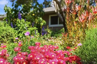 Single Family Residence, Grahn drive, Santa Rosa, CA 95404 - 39