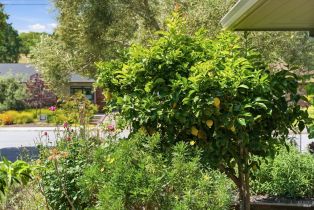 Single Family Residence, Grahn drive, Santa Rosa, CA 95404 - 38