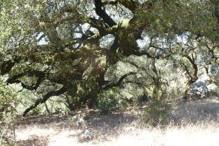 Residential Acreage,  Warrington road, Santa Rosa, CA 95404 - 7