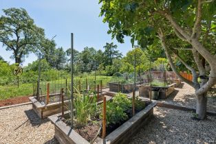 Single Family Residence, 1069 Darms lane, Napa, CA 94558 - 98