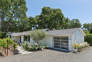 Single Family Residence, 1069 Darms lane, Napa, CA 94558 - 41