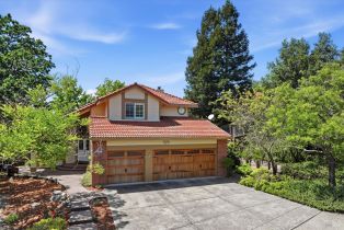 Single Family Residence,  Montez court, Windsor, CA 95492 - 10