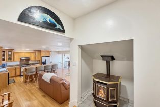 Single Family Residence, Timber Cove road, Jenner, CA 95450 - 25