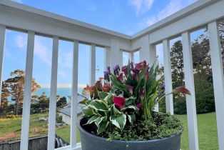 Single Family Residence, Timber Cove road, Jenner, CA 95450 - 48