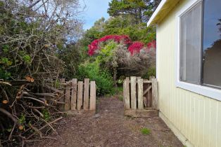 Single Family Residence, Los Santos drive, Bodega Bay, CA 94923 - 7