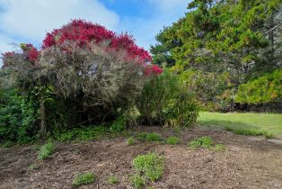 Single Family Residence, Los Santos drive, Bodega Bay, CA 94923 - 50