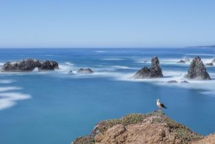 Single Family Residence, Del Mar point, Sea Ranch, CA 95497 - 51