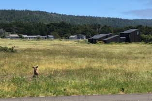 Single Family Residence, Del Mar point, Sea Ranch, CA 95497 - 18