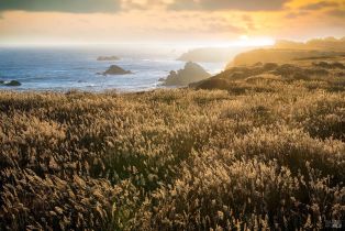 Single Family Residence, Del Mar point, Sea Ranch, CA 95497 - 49