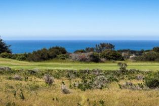 Single Family Residence,  West Wind none, Sea Ranch, CA 95497 - 10